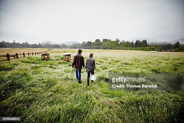 farmers in pasture on rainy morning rear view - woman on walking in countryside stock-fotos und bilder