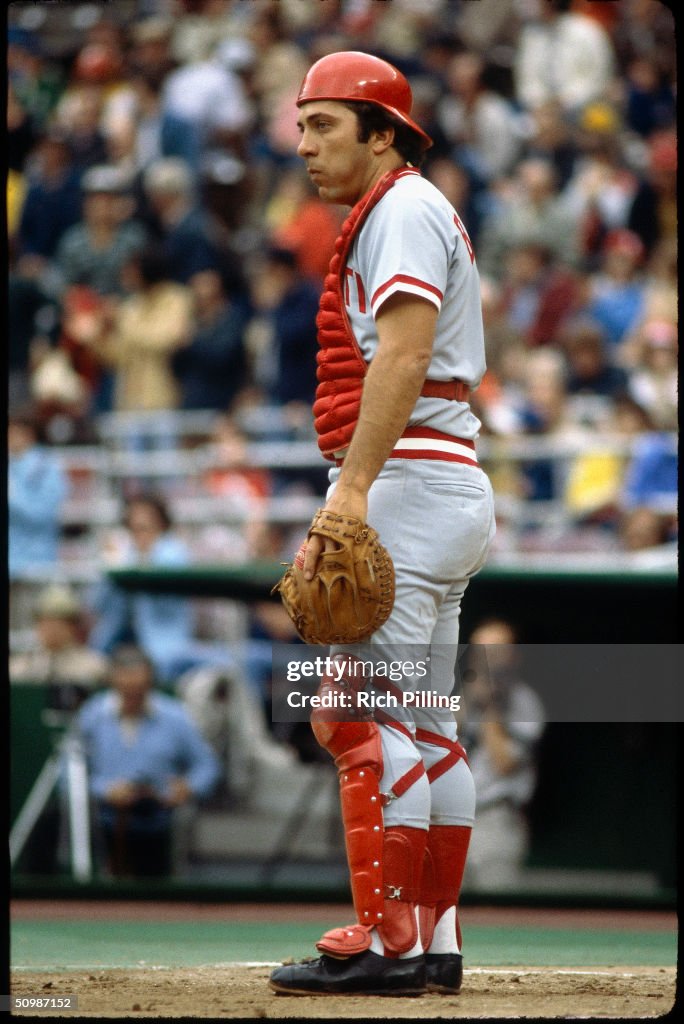 MLB Photos Archive