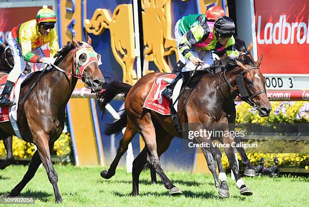 Luke Currie riding Suavito defeats Glen Boss riding Lucky Hussler in Race 7, the C.F.Orr Stakes during Melbourne Racing at Caulfield Racecourse on...