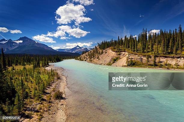 summer clouds over mistaya river along icefields parkway by saskatchewan river crossing, canada - saskatchewan highway stock pictures, royalty-free photos & images