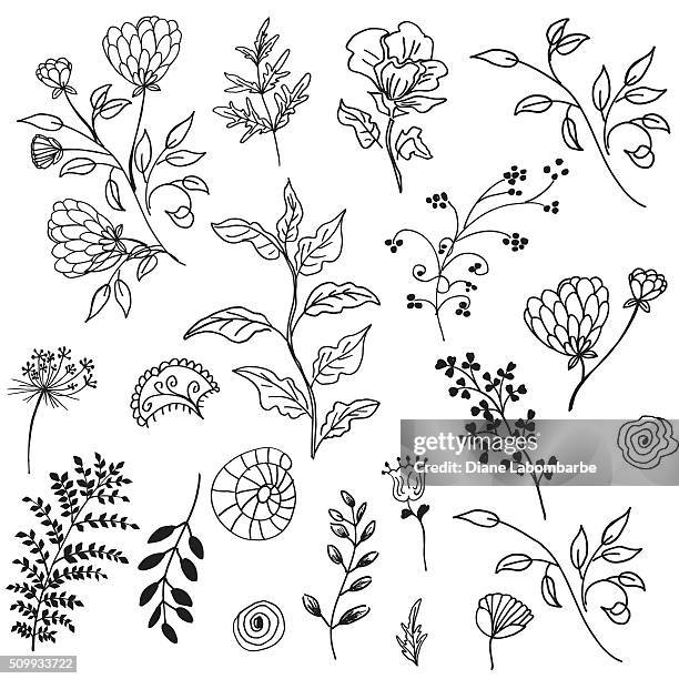 retro doodled decorative plant elements - herb stock illustrations