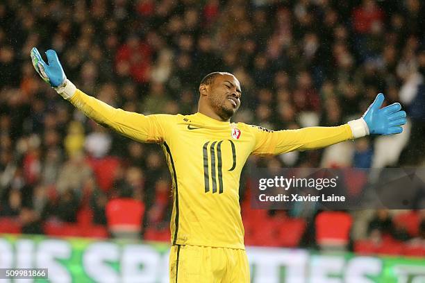 Vincent Enyeama of Lille LOSC is dispointed during the French Ligue 1 between Paris Saint-Germain and Lille OSC at Parc Des Princes on february 13,...