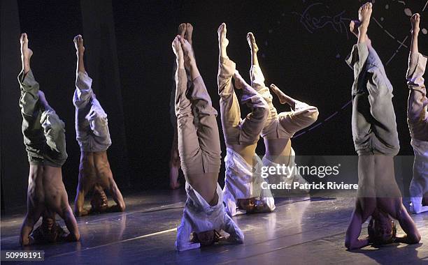 Frances Rings Bangarra Dance Companies Photos and Premium High Res Pictures - Getty ...