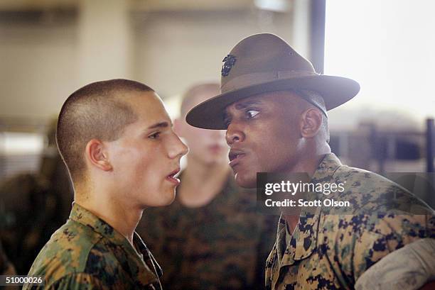 men become marines at parris island - drill sergeant fotografías e imágenes de stock