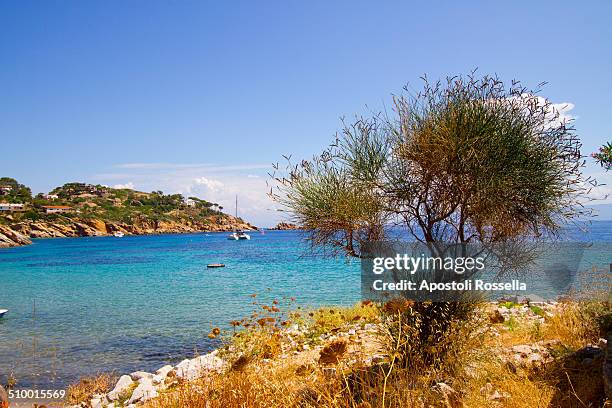 isola del giglio, tuscany - giglio - fotografias e filmes do acervo