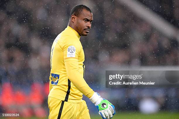 Vincent Enyeama of Lille OSC reacts during the Ligue 1 game between Paris Saint-Germain and Lille OSC at Parc des Princes on February 13, 2016 in...