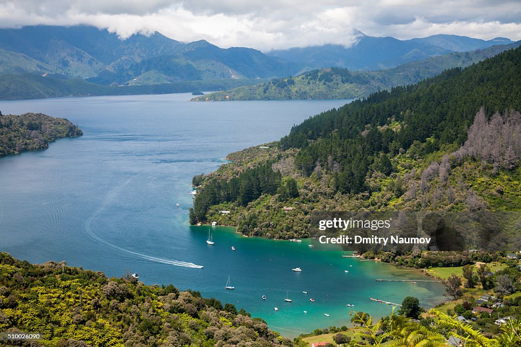 View over the Kenepuru Sound from the Queen Charlotte Track New Zealand