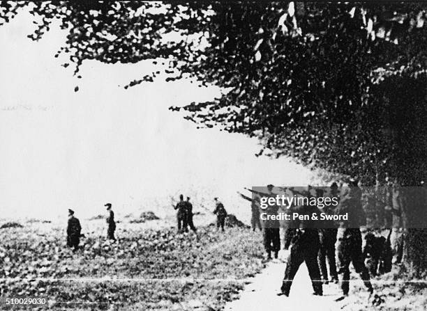 Ww2 Rifle Scene 2,985 World War Ii Rifle Stock Photos, High-Res Pictures, and Images ...