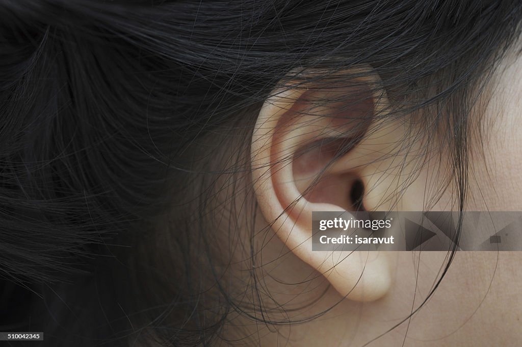 Ear