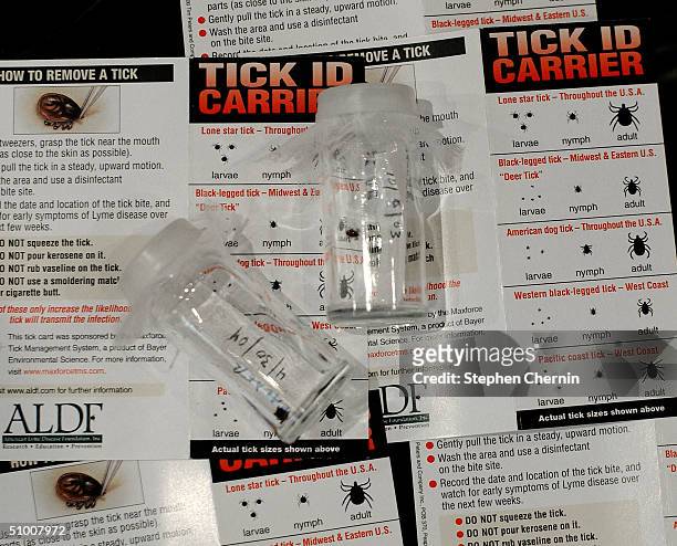 Ticks in small bottles rest on Tick ID Carrier information cards June 29, 2004 in New York City. The Centers for Disease Control said the number of...