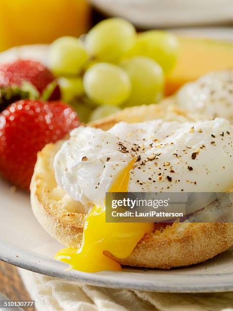 poached eggs - english muffin stock pictures, royalty-free photos & images