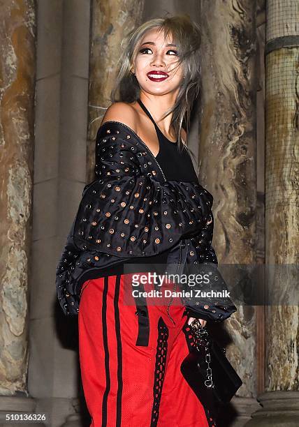 Recording Artist Chaelin Lee aka CL is seen outside the Alexander Wang show during New York Fashion Week: Women's Fall/Winter 2016 on February 13,...