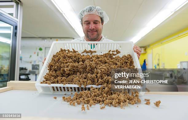 An employee of the factory "L'Atelier a pates" makes a special pasta with insects flour made with locusts or crickets on February 8, 2016 in...