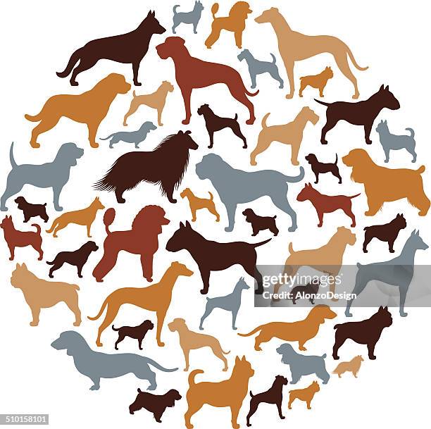 ilustraciones, imágenes clip art, dibujos animados e iconos de stock de collage de perros - basset hound