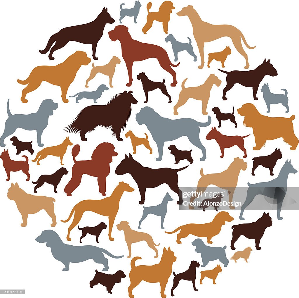 Dogs Collage