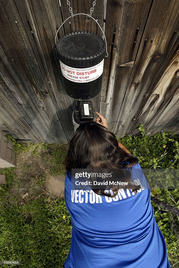 West Nile Virus Gains Foothold in Southern California