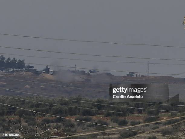 Turkey Wing Shell Photos and Premium High Res Pictures - Getty Images