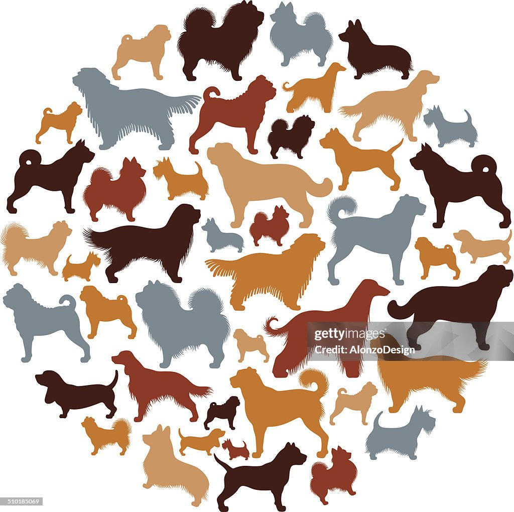 Dogs Collage