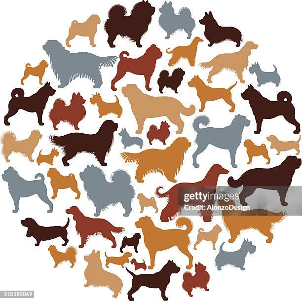 dogs collage - basset hound stock illustrations