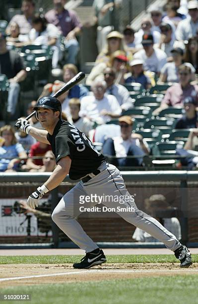 Frank Catalanotto of the Toronto Blue Jays bats during the MLB game against the San Francisco Giants on June 17, 2004 at SBC Park in San Francisco,...