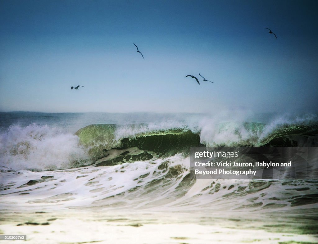 Winter Beach Scene at Robert Moses State Park, Long Island, NY