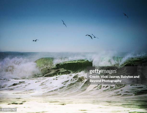 winter beach scene at robert moses state park, long island, ny - robert moses bridge stockfoto's en -beelden