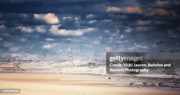 wet and wild beach scene at robert moses state park, long island ny - robert moses bridge stockfoto's en -beelden