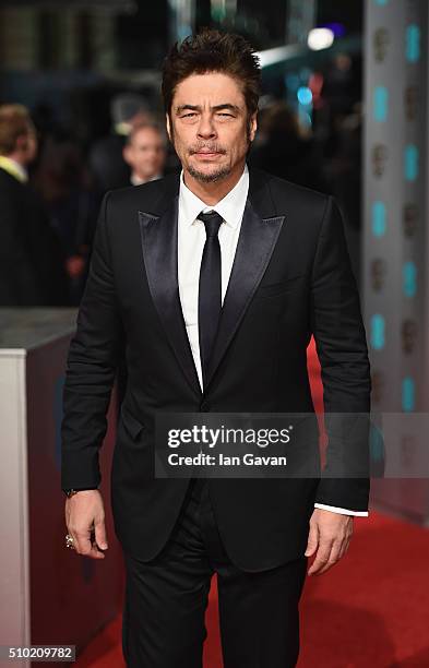 Benicio del Toro attends the EE British Academy Film Awards at the Royal Opera House on February 14, 2016 in London, England.