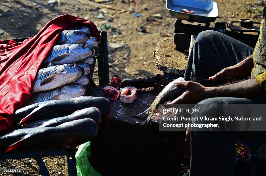 Street vendor selling fish