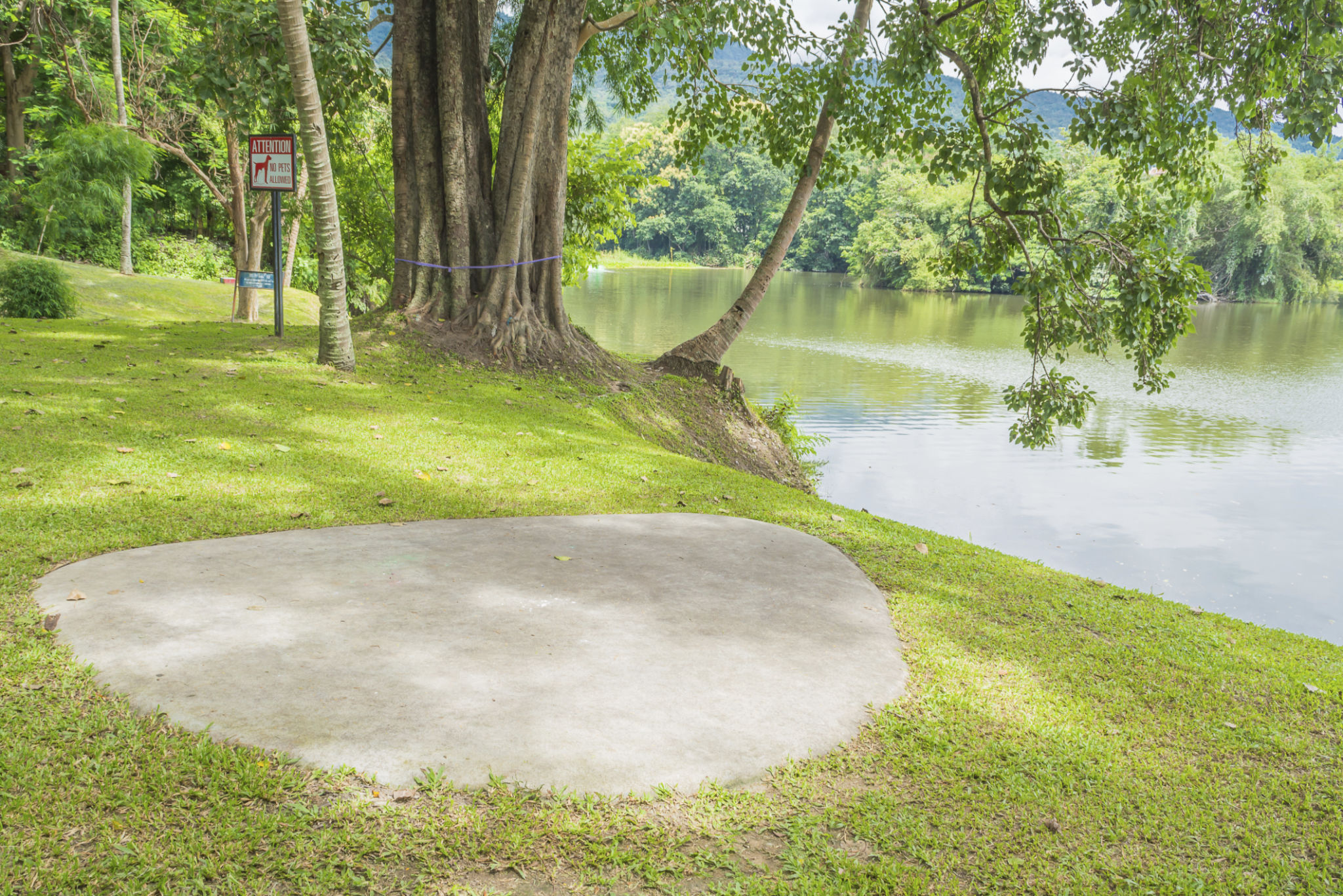 coffman park
