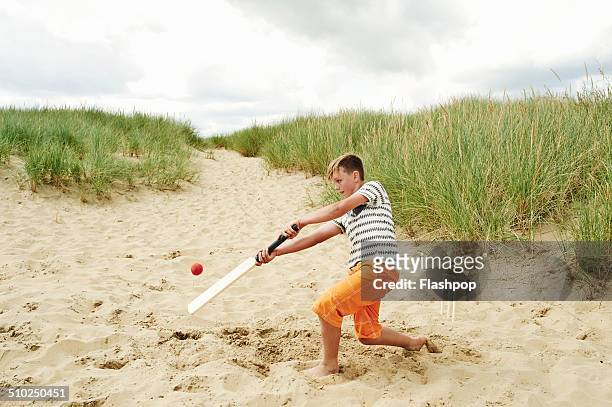 family playing ball game at the beach - beach cricket stockfoto's en -beelden