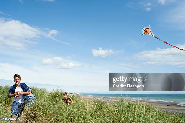 children flying a kite at the beach - day 11 fotografías e imágenes de stock