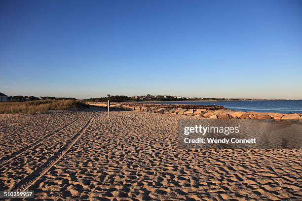 beach dennisport cape cod - dennis stockfoto's en -beelden