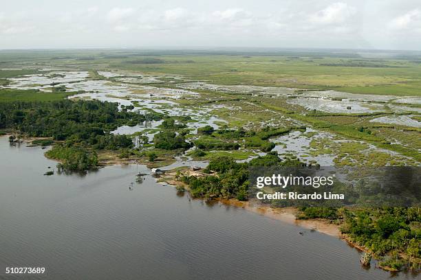 Jamari Rivers 103 Jari River Stock Photos, High-Res Pictures, and Images - Getty Images