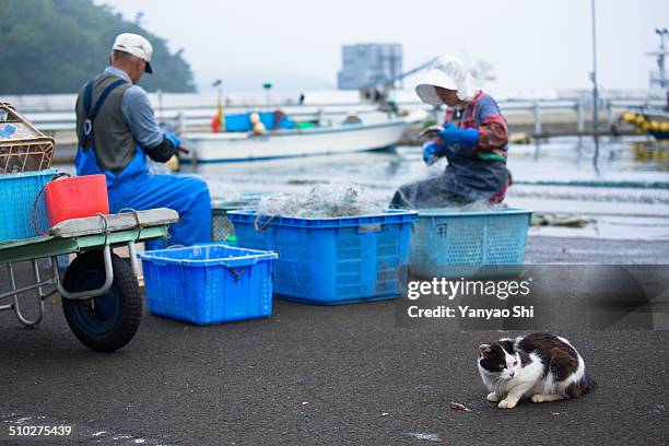 4 579 Japanese Fishing Boats Stock Photos High Res Pictures And 4-579-japanese-fishing-boats-stock-photos-high-res-pictures-and