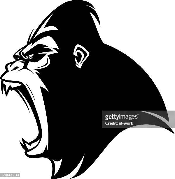 wütende gorilla - tiergebrüll stock-grafiken, -clipart, -cartoons und -symbole
