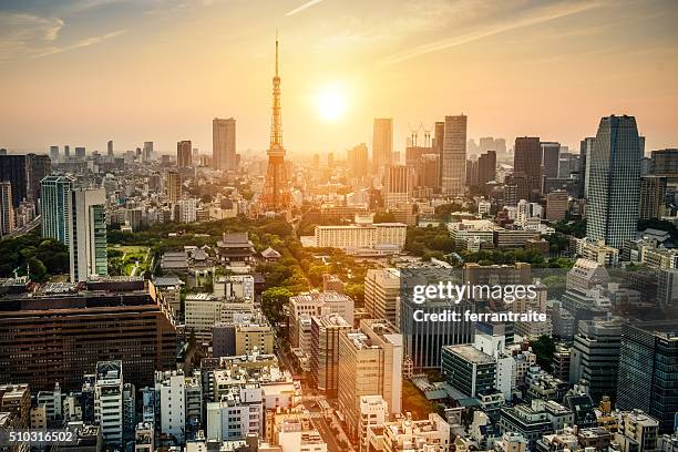 torre di tokyo giappone - tokyo skyline sunset foto e immagini stock