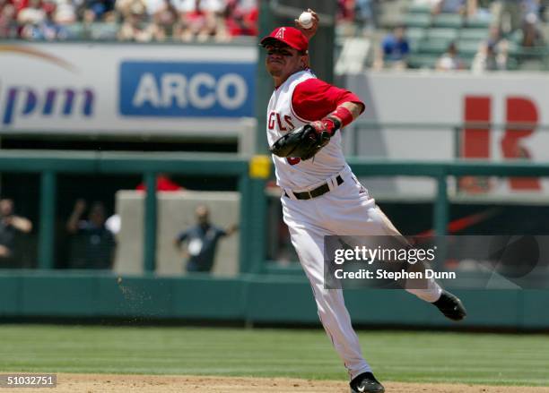 Alfredo Amezaga of the Anaheim Angels fields the ball during the game against the Chicago Cubs on June 13, 2004 at Angel Stadium in Anaheim,...