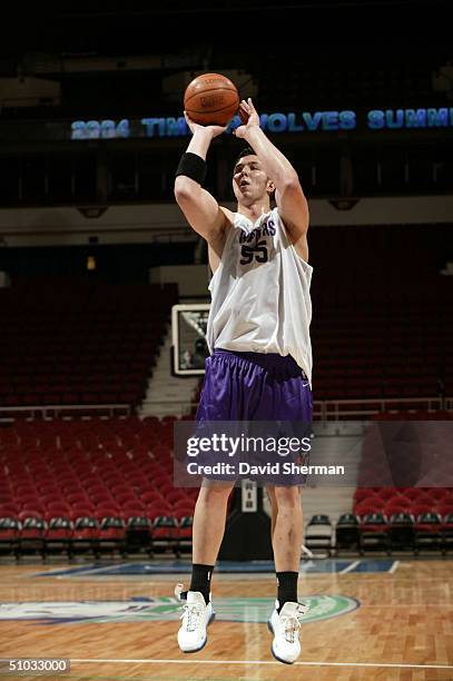 Rafael Araujo of the Toronto Raptors shoots against the Milwaukee Bucks during the 2004 NBA Minnesota Summer League on July 7, 2004 at Target Center...