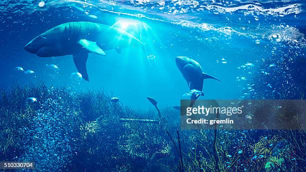 underwater shark scene - shark underwater stock pictures, royalty-free photos & images