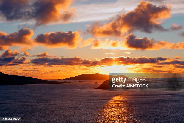 blasket islands at sunset in county kerry, ireland - dingle peninsula bildbanksfoton och bilder