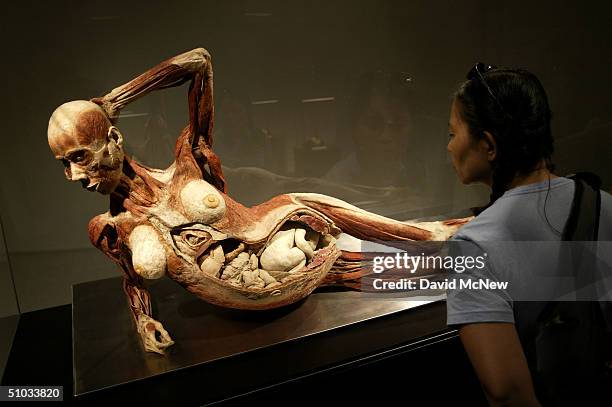 The body of an unborn child is seen inside the body of its mother at the "Body Worlds: The Anatomical Exhibition of Real Humans Bodies" show at the...