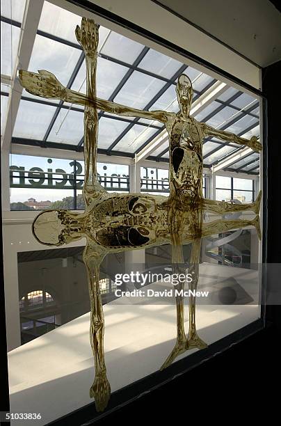 Slices of the bodies of a man and moman are hung in a window camparing their proportions at the "Body Worlds: The Anatomical Exhibition of Real...