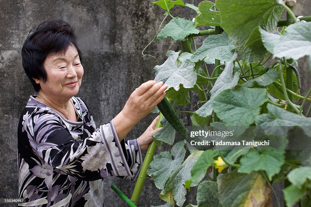 Senior woman enjoying kitchen garden