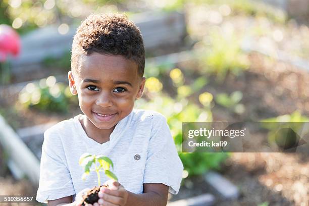 sweet little boy holding seedling - boy face happy stock pictures, royalty-free photos & images