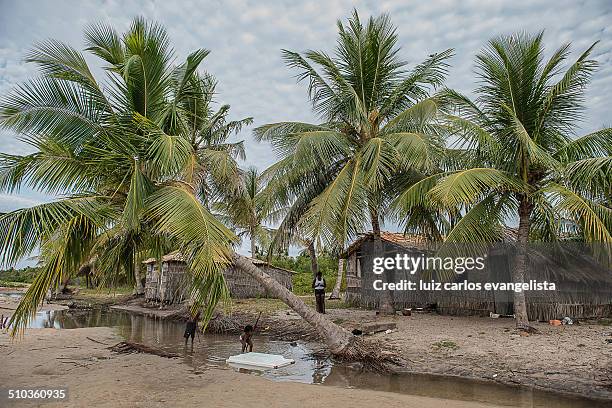 Mangue Seco is the last beach on the far north coast of Bahia located in the municipality of Jandaíra, bordering the state of Sergipe.