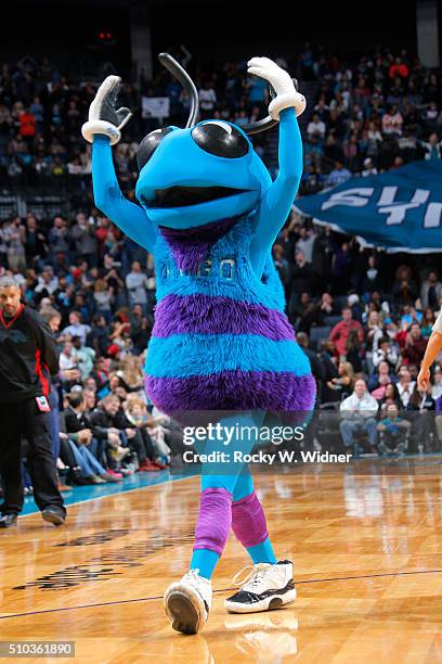 The Charlotte Hornets mascot Hugo excites the crowd during the game against the Miami Heat on February 5, 2016 at Time Warner Cable Arena in...