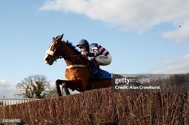 Joshua Moore riding Ar Mad on their way to winning The Download The At The Races App Novices' Limited Handicap Steeple Chase at Plumpton racecourse...