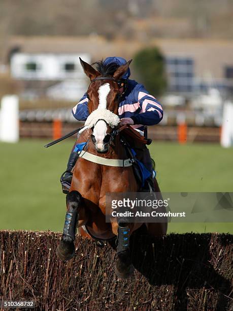 Joshua Moore riding Ar Mad clear the last to win The Download The At The Races App Novices' Limited Handicap Steeple Chase at Plumpton racecourse on...