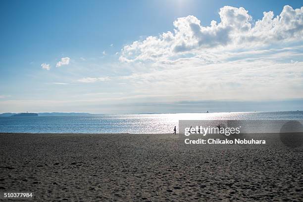 taking a dog walk - chigasaki beach stock pictures, royalty-free photos & images